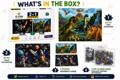 Space and Dino box details